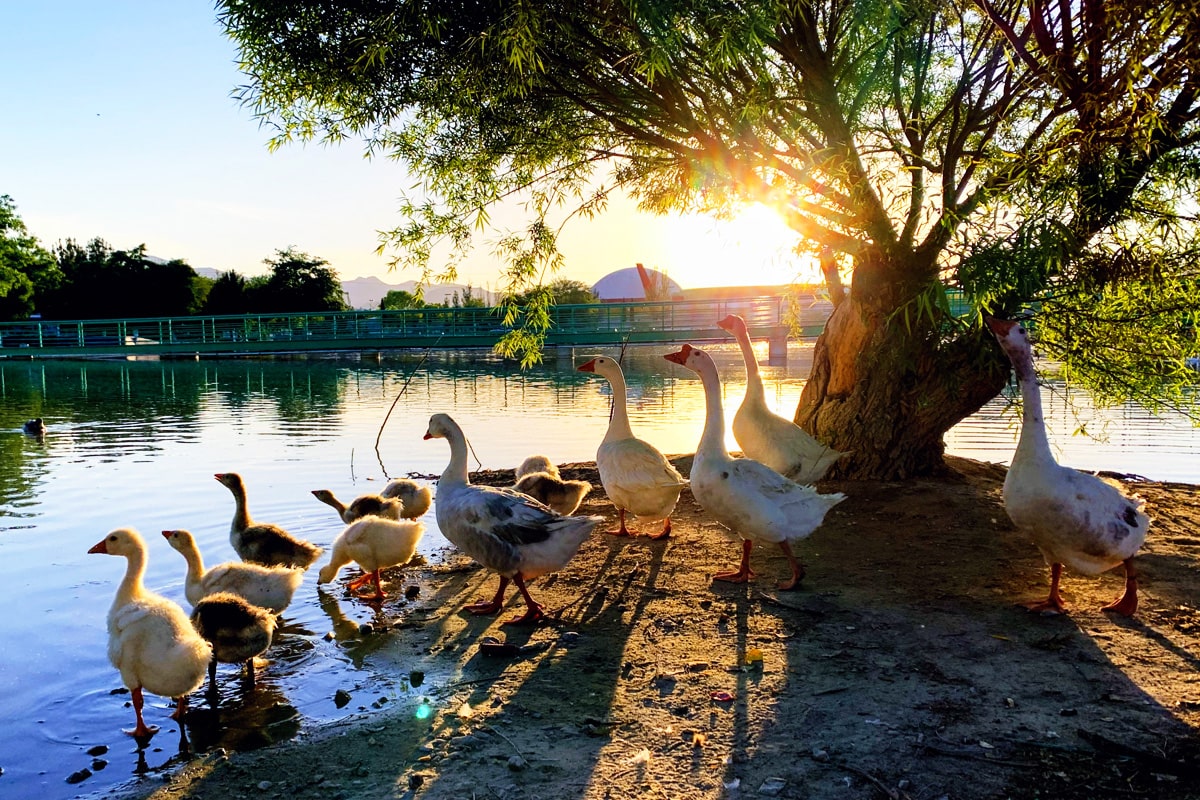 parque central juarez chihuahua